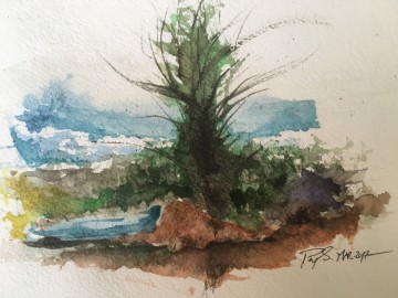 Peyman img twisted alone